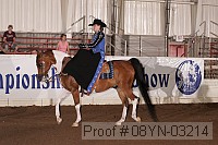 08yn-03214 proof