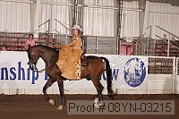 08yn-03215 proof