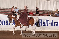 08yn-03216 proof