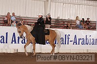 08yn-03221 proof