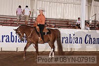 08yn-07919 proof