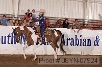 08yn-07924 proof