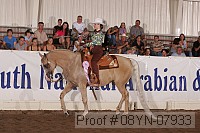08yn-07933 proof