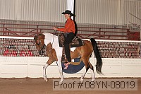 08yn-08019 proof