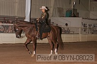 08yn-08023 proof