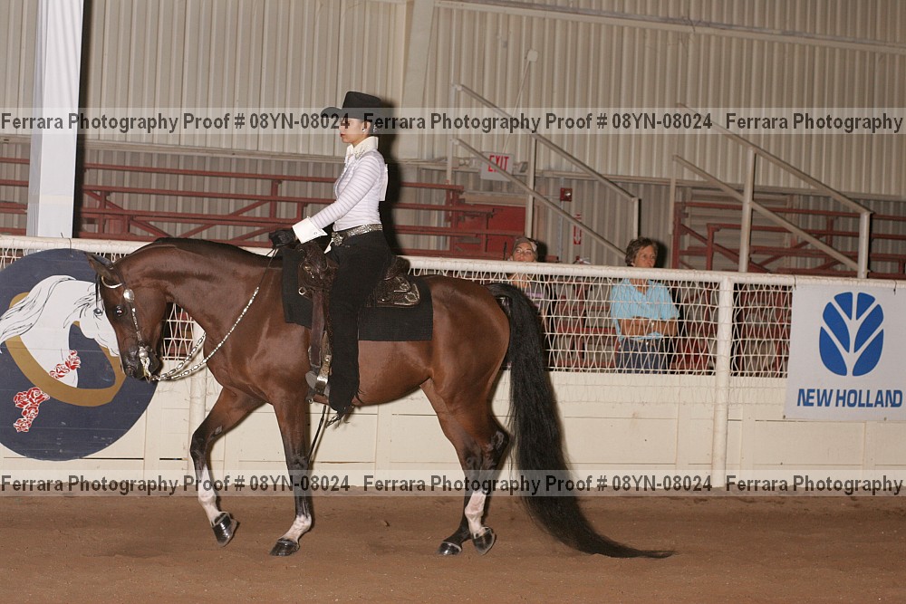 Proof 08yn-08024