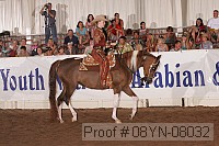 08yn-08032 proof