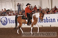 08yn-08038 proof