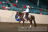 08yn-15765 proof