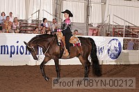 08yn-00212 proof