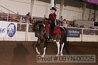 08yn-00225 proof