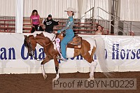 08yn-00229 proof
