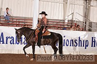 08yn-00233 proof
