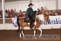 08yn-00243 proof