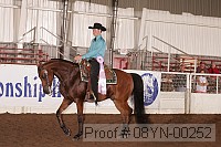 08yn-00252 proof