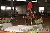 08yn-00334 proof