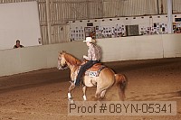 08yn-05341 proof
