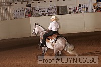 08yn-05366 proof