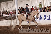 08yn-05237 proof