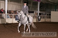08yn-00957 proof