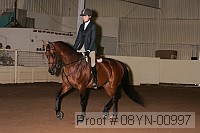 08yn-00997 proof