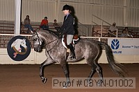 08yn-01002 proof