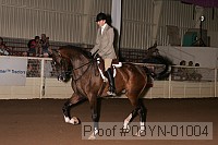 08yn-01004 proof