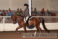 08yn-01005 proof