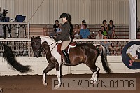08yn-01006 proof