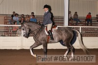 08yn-01007 proof