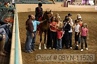 08yn-11528 proof