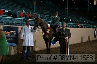 08yn-11558 proof