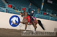 08yn-11565 proof