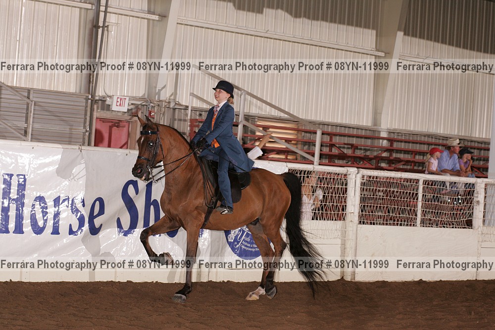 Proof 08yn-11999