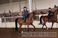 08yn-12004 proof
