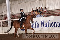 08yn-12007 proof