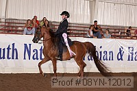 08yn-12012 proof