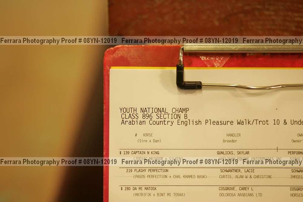 Proof 08yn-12019