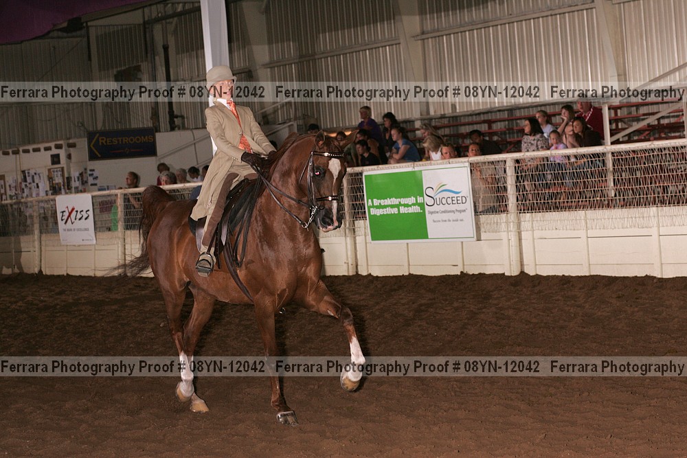 Proof 08yn-12042