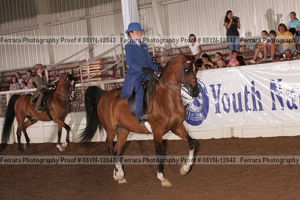 Proof 08yn-12043