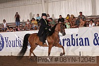 08yn-12045 proof