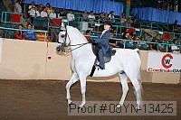 08yn-13425 proof