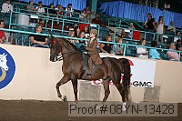08yn-13428 proof