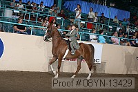 08yn-13429 proof