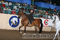 08yn-13434 proof