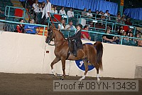 08yn-13438 proof