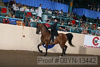 08yn-13442 proof