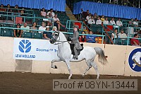 08yn-13444 proof