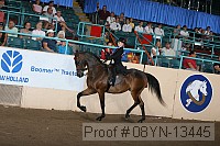 08yn-13445 proof