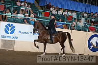 08yn-13447 proof